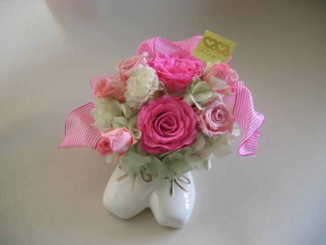 ������o�����[�i