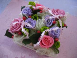 �����V�_�@��ہ@�@�ԍ�ƃR���N�V�����Q�O�P�P