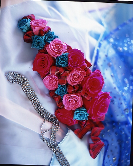 �A�[���u�[�P(�v�����Z�X���u���[�S�[�W���X)