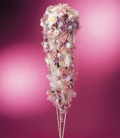 �G���K���X�u�[�P