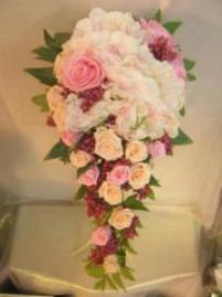 6��21���i�y�j���ް�������������X�W���X�R���ԓX