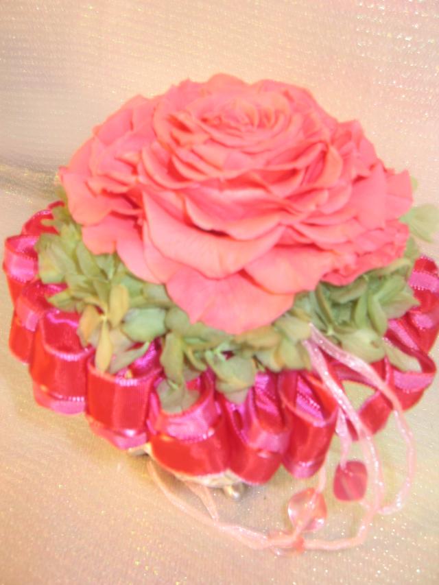 �C���X�g���N�^�[�R�[�X�@����x�q����̍�i